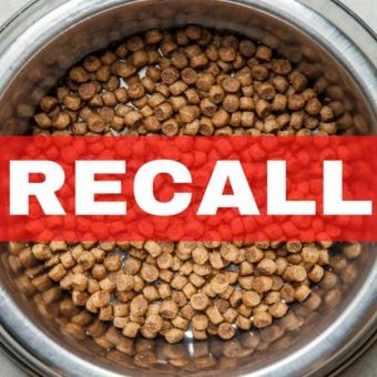 Dog Food Recalled Over Metal Contamination Fears