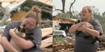 Woman thought her cat was gone after tornado destroyed home — miraculous reunion caught on camera