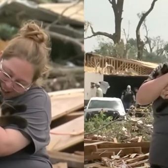 Woman thought her cat was gone after tornado destroyed home — miraculous reunion caught on camera