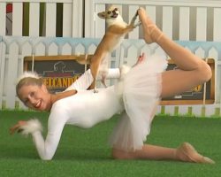 Ballerina & Dog Take Position, And The Crowd Gets Into It When The Music Starts