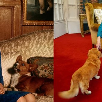What happened to Queen Elizabeth’s iconic Corgis? Sarah Ferguson gives update 2 years after queen’s death