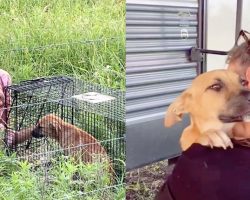 Dog rescuer wins trust of abandoned puppy — look of love shows she’s finally home