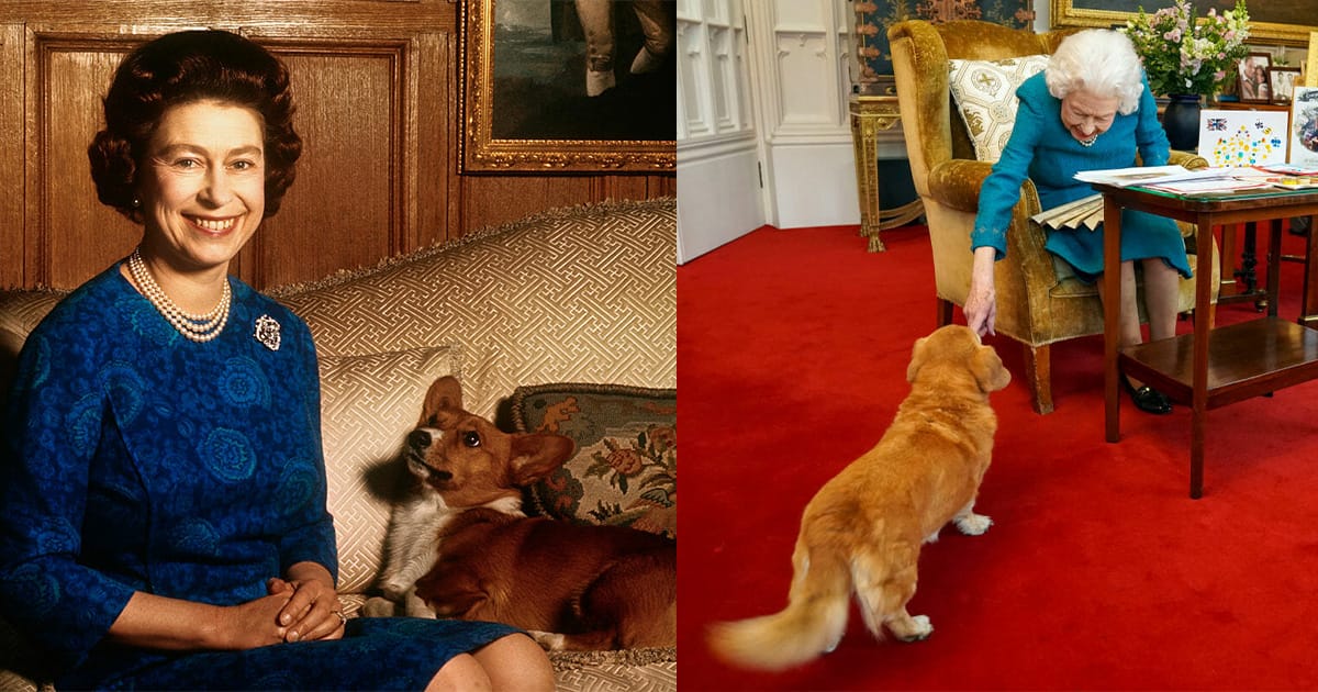 What happened to Queen Elizabeth’s iconic Corgis? Sarah Ferguson gives update 2 years after queen’s death