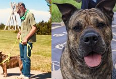 Man’s dying wish is to find a new home for his beloved dog: “Like trying to find a home for your child”