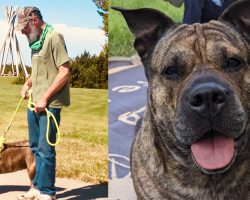 Man’s dying wish is to find a new home for his beloved dog: “Like trying to find a home for your child”