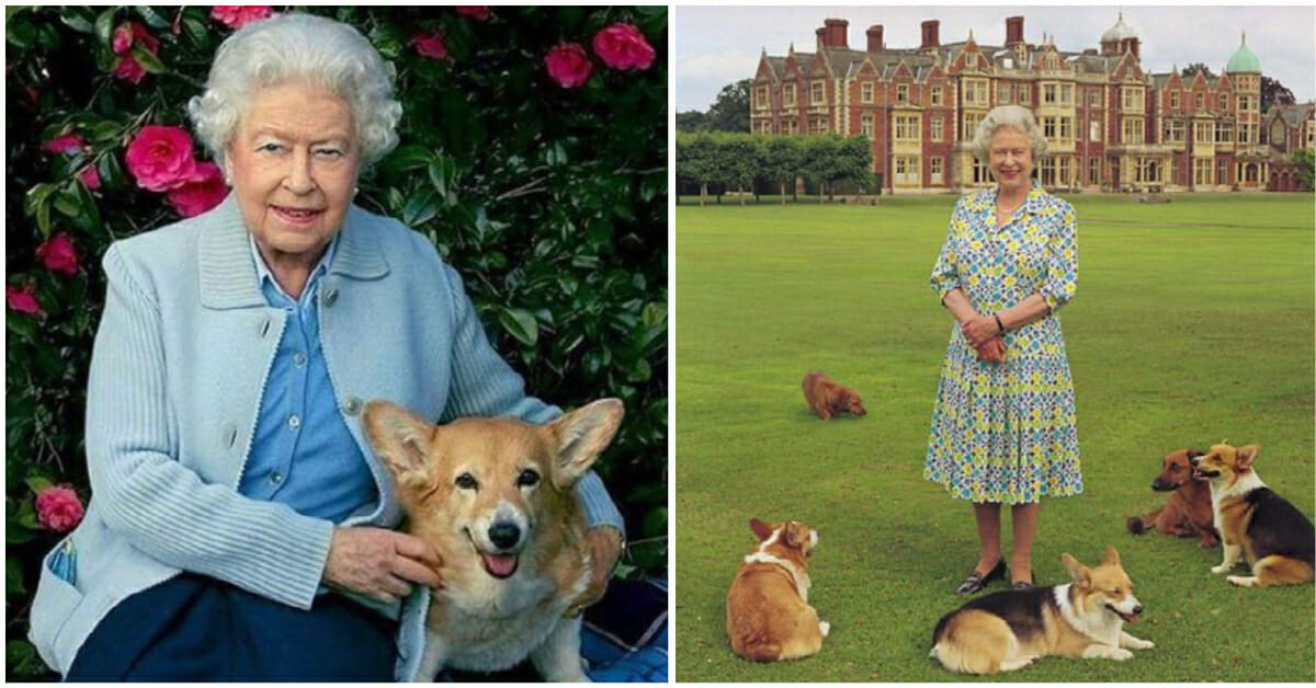 Queen Elizabeth gets new Corgi puppy, bringing comfort during ‘rough time’ in her life