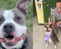 Shelter’s longest resident finally gets adopted after 420 days: “The moment we’ve all been waiting for”