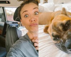 Kaley Cuoco announces she has adopted new rescue dog named Dahlia: “We hit the jackpot”