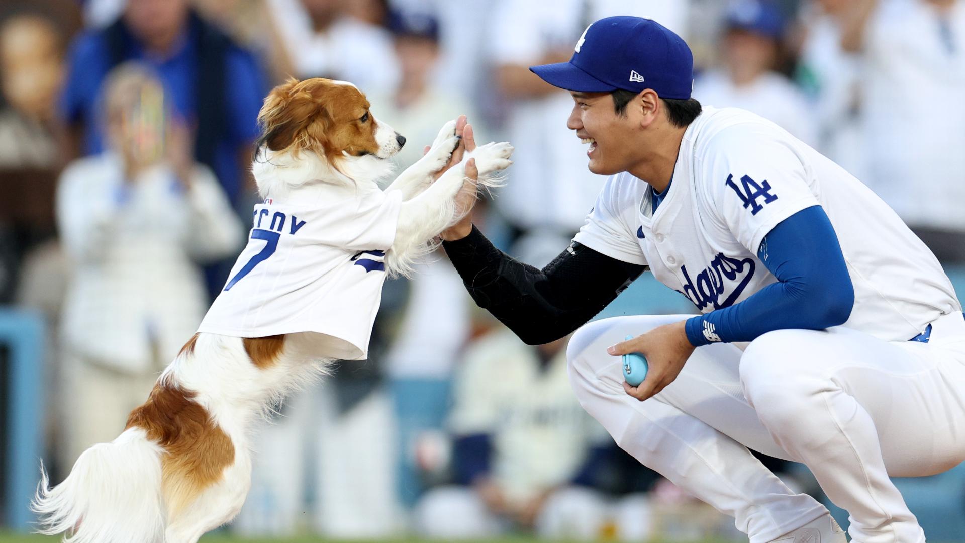 Shohei Ohtani's Dog Decoy Steals The Show With First-Pitch Duties