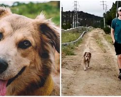 Man Adopts Dog and Travels 18,000 Miles Around the World with Her Over a 5-Year Period