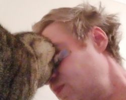 Why your cat headbutts you and what it means