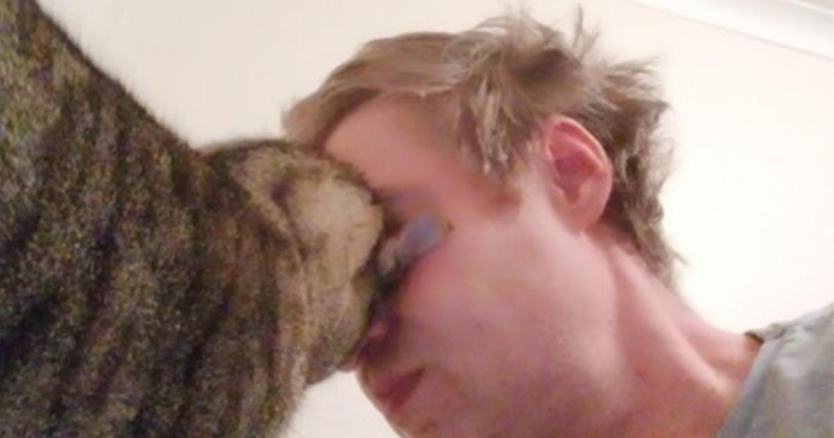 Why your cat headbutts you and what it means