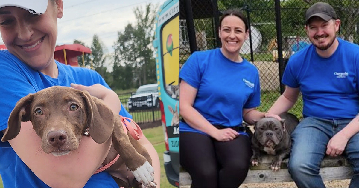 Husband Pays Adoption Fees for 40 Shelter Dogs For Wife’s 40th Birthday