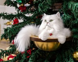 Fancy Feast is giving away cat-friendly Christmas trees this season — see what makes them so unique