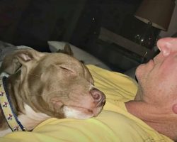 Man Scooped Up Dying Puppy, Laid Him On His Chest & They Rescued Each Other