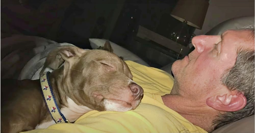 Man Scooped Up Dying Puppy, Laid Him On His Chest & They Rescued Each Other