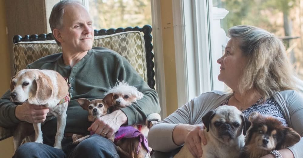 Senior Dogs Spend Their Last Days in Love Thanks to This Amazing Couple