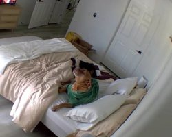 She Didn’t Know Why Her Bed Was Messy, Then She Checked the Camera