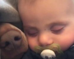 Mom Films Sleeping Baby, Then a Tiny Nose Pokes Through the Covers