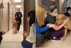 Shelter Dog Stops to Kiss Every Staff Member Before Heading Home