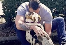 Guy Clutches Hostile Dog From Dumping Ground, Whispers ‘I Trust Him’