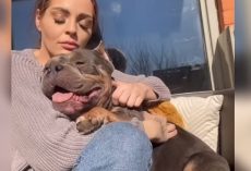 Dog Lets Go Of Painful Past When She Wraps Her Arms Around Him