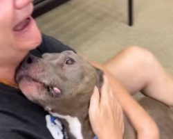 She Thought She’d Lost Him Forever, Then an ‘Unexpected’ Call Changed Everything