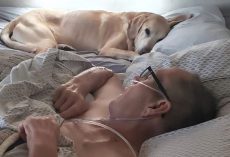 Air Force Veteran and His Dog Pass Away Together, A Bond That ‘Defied Death’