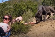 Set Of Eyes Followed Woman As She Hiked Up Mountain, Drawing Her Closer