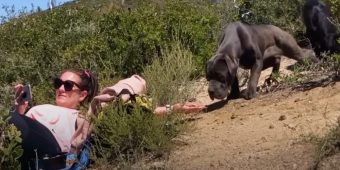 Set Of Eyes Followed Woman As She Hiked Up Mountain, Drawing Her Closer