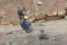 Construction Workers Rig Equipment To Rescue Dog From Raging River