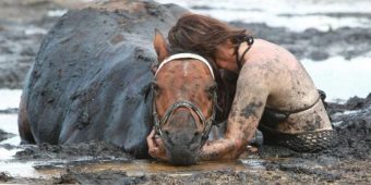 Woman holds trapped horse for hours – then a farmer shows what a real guardian angel looks like