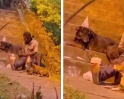 Homeless Man Caught on Camera Throwing Heartfelt Birthday Party for His Dog