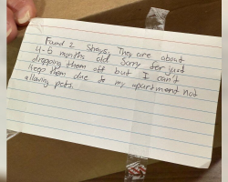 Handwritten Note on Sealed Box Leads to Heartbreaking Discovery