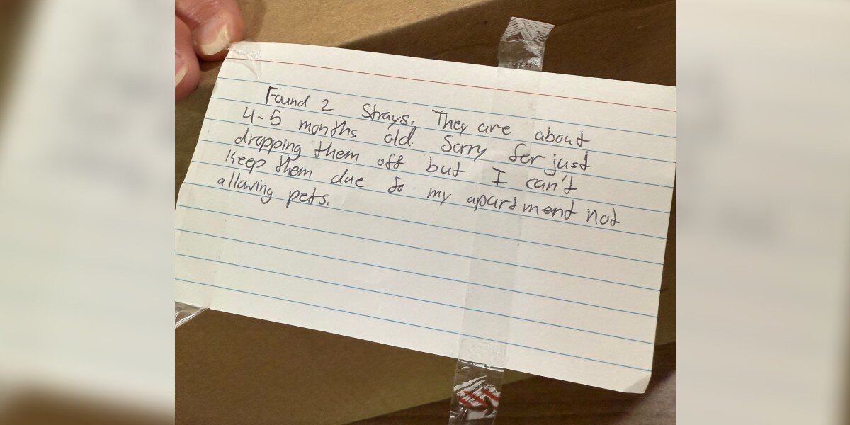 Handwritten Note on Sealed Box Leads to Heartbreaking Discovery