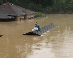 Woman Uses Plastic Bin to Save Her Senior Dog From Life-Threatening Flood