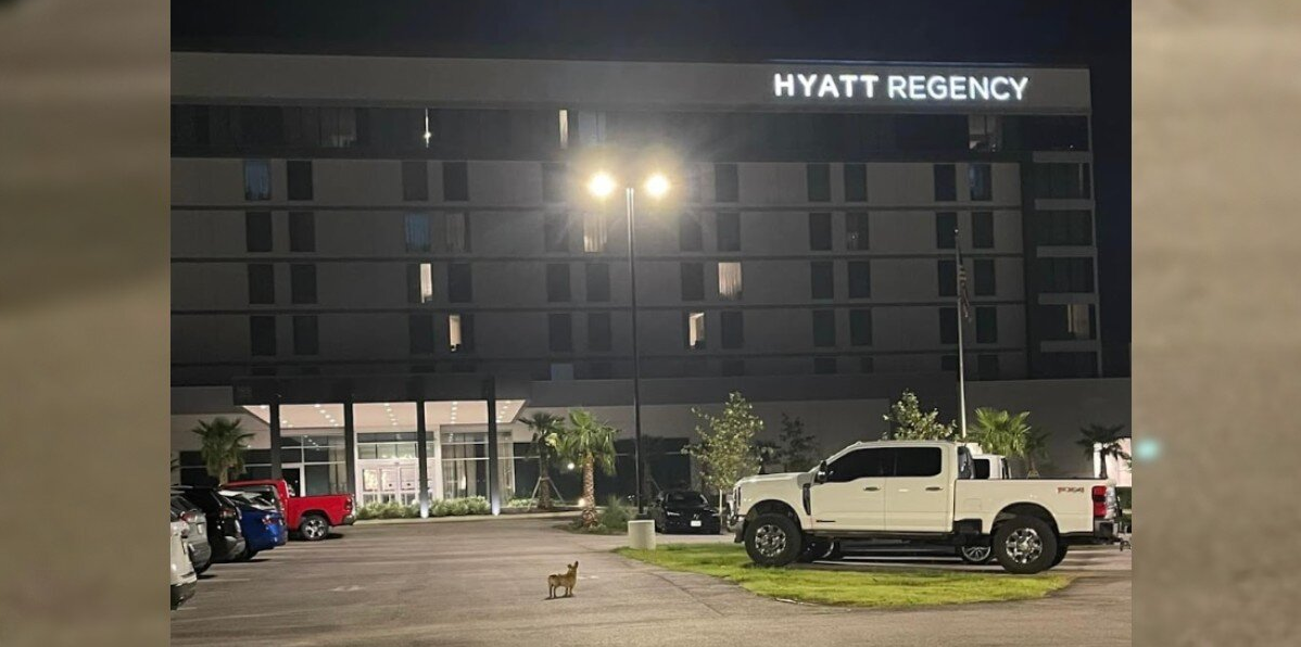 For Two Months, He Slept in a Hotel Parking Lot — Until Someone Finally Stepped In