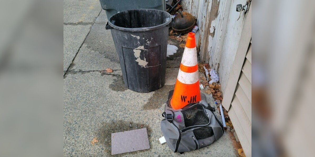Duffel Bag Left by Trash Turns Out to Be Hiding a Heartbreaking Surprise