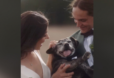 Couple Gives Their 19-Year-Old Dog a Beautiful Final Gift — Including Him in Their Wedding