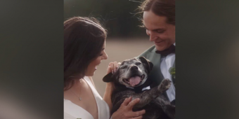 Couple Gives Their 19-Year-Old Dog a Beautiful Final Gift — Including Him in Their Wedding