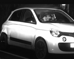 Traffic Camera Snaps Speeding Car — And the Driver Appears to Be a Dog