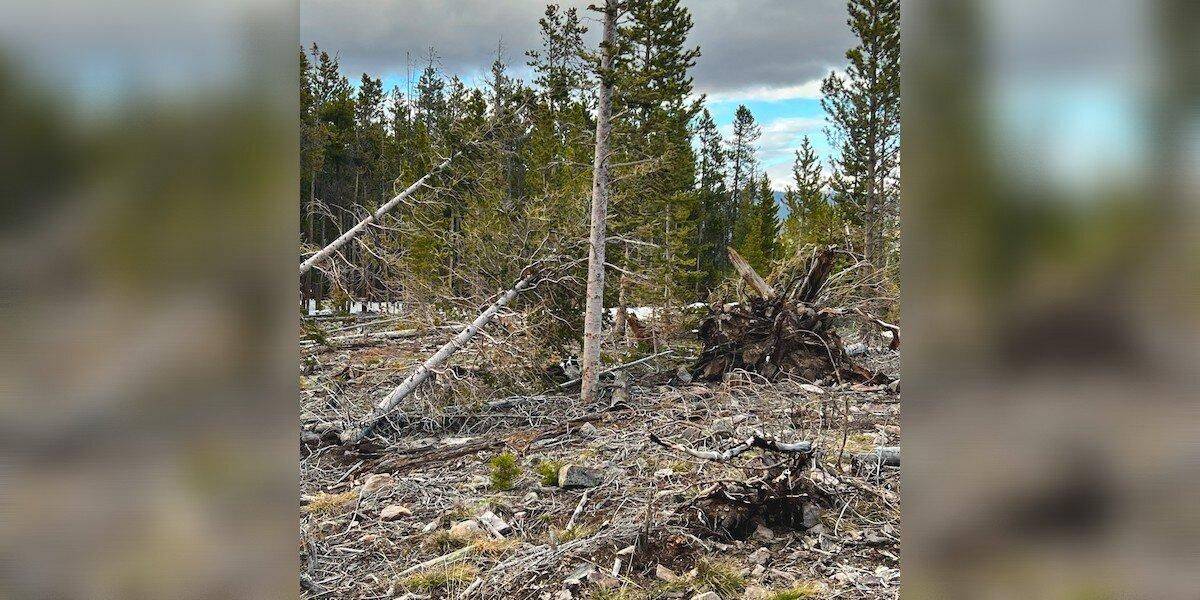 Hiker Hears a Cry on the Mountain — And Solves a 5-Week Mystery