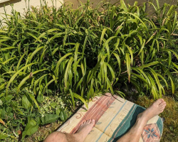 People Are Struggling To Spot The Two Hidden Dogs In This Photo