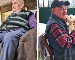 96-Year-Old Man Starts ‘Aging in Reverse’ Thanks to One Small, Furry Friend