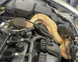 Mechanics Lift Car Hood — And Can’t Believe What’s Staring Back