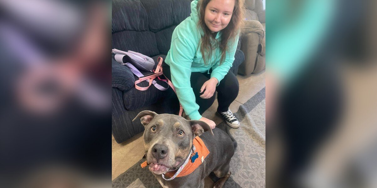Woman Brought to Tears After Spotting Shelter Dog Wearing Her Late Pup’s Bandana