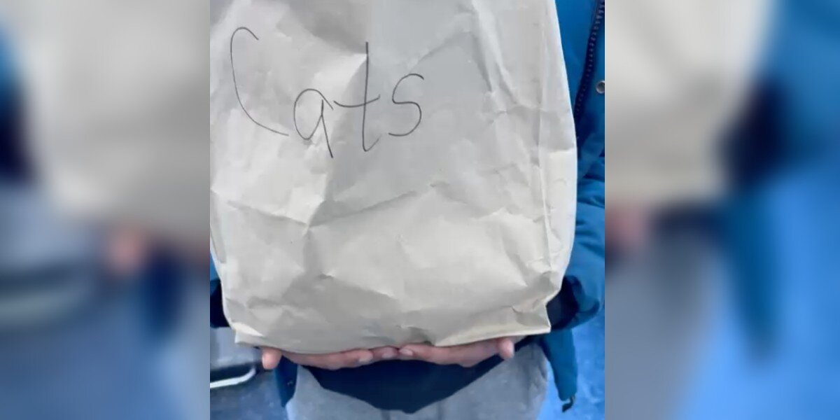 Driver Spots Bag Marked ‘Cats’ on Highway — Then Hears a Sound That Makes Him Stop