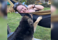 Tourist Finds Street Dog at Her Cabin — And He Refuses to Leave Her Side