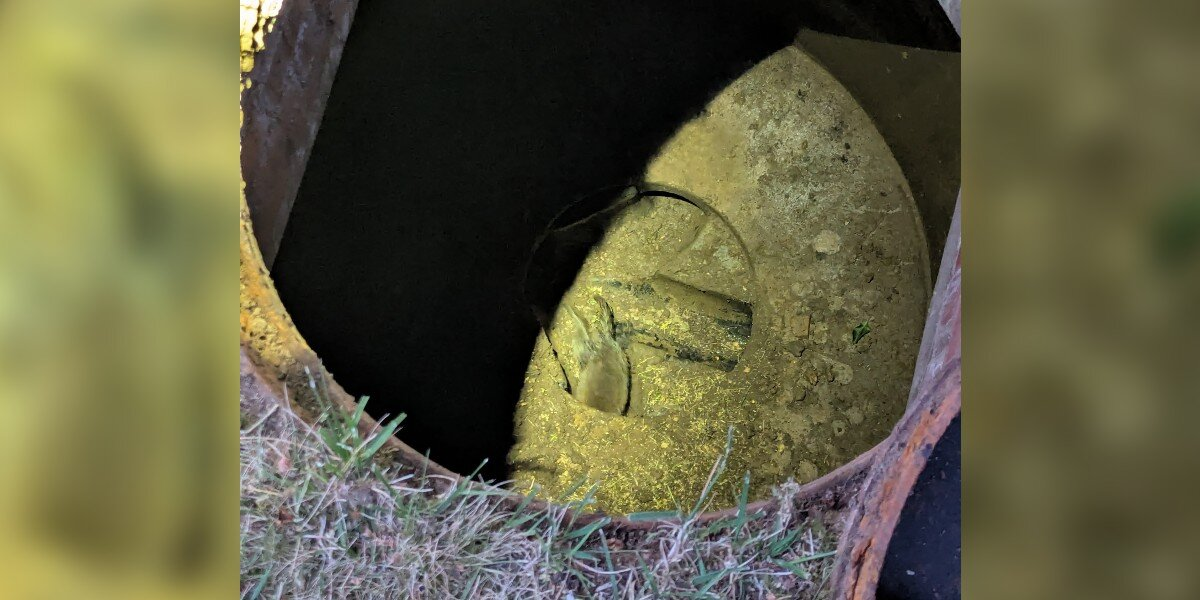 Neighbors Hear 'Barking' From Drain — And Discover A Baby In Desperate Need Of His Mom