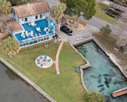 This Dream Home for Sale Comes With Dozens of Friendly Manatees in the Backyard